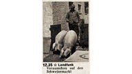 Landfunk-Anzeige, Bauer mit zwei Schweinen
