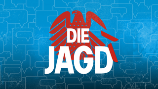 AfD-Leak enthüllt mehr als 40.000 geheime Nachrichten aus der Bundestagsfraktion der Partei