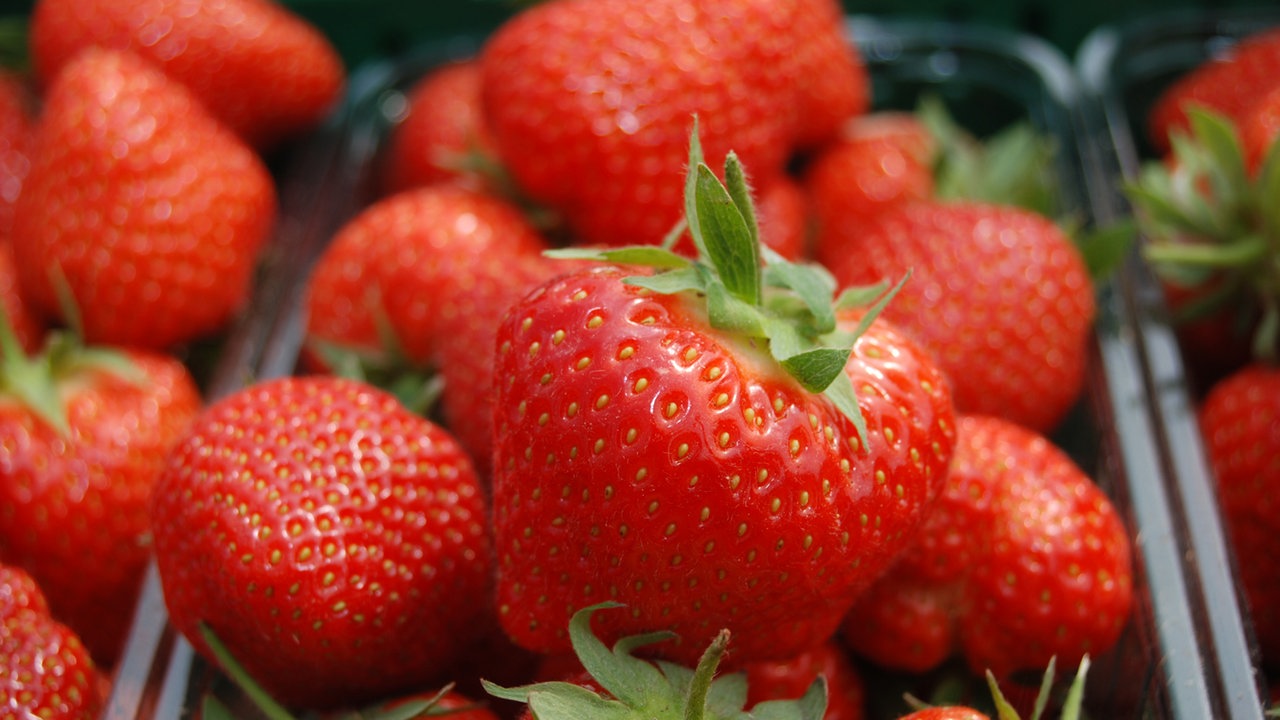 Erdbeeren Lecker Und Gesund Ernahrung Verbraucher Wdr