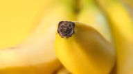 Das Bild zeigt mehrere Bananen.