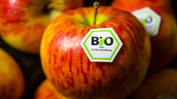 Das Bild zeigt Bio Äpfel vom Discounter.