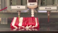 Das Bild zeigt, wie Fleisch aus dem Labor mit einem 3D-Drucker hergestellt wird. 