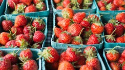 Das Bild zeigt Schalen voller Erdbeeren.