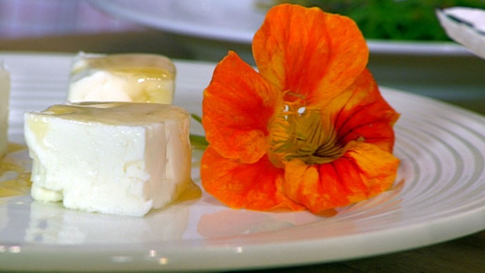 Schafskäse mit Honig und einer Blüte Kapuzinerkresse auf einem Teller angerichtet