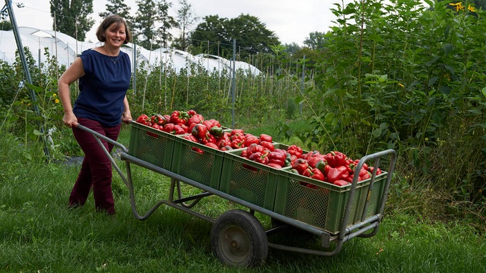 Ines von Hagenow erntet Paprika