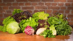 Verschiedene Salatsorten