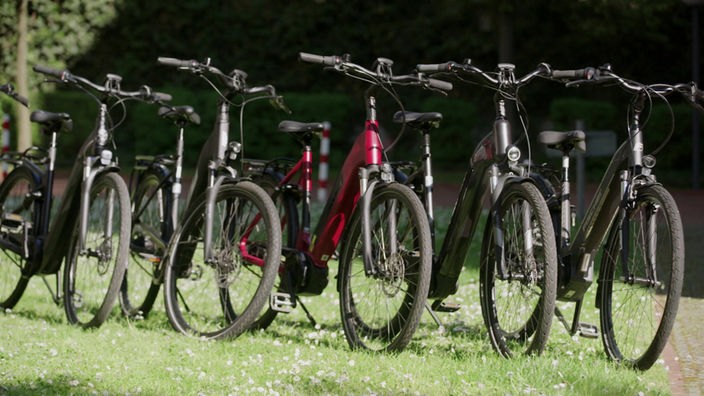 Fahrräder auf einer Wiese geparkt
