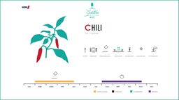 Das Bild zeigt einen Chilikalender.