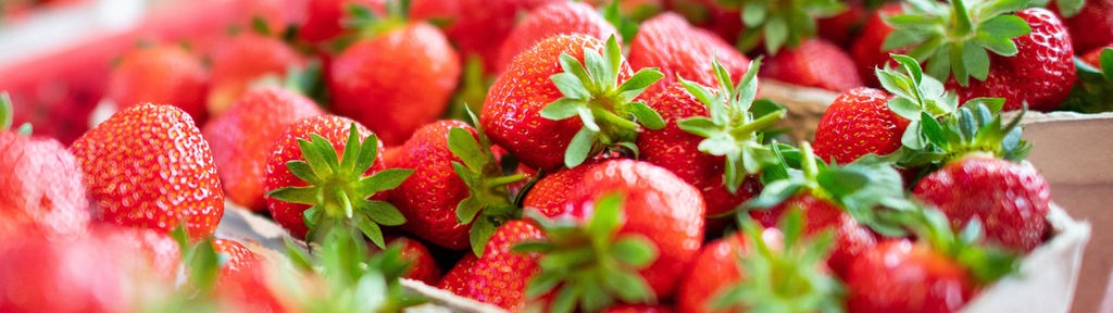 Das Bild zeigt viele Freiland-Erdbeeren der Saison, die zum Verkauf bereit stehen.