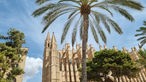 Das Bild zeigt die Kathedrale Palmas "La Seu"
