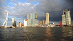 Das Bild zeigt den Rotterdamer Hafen.