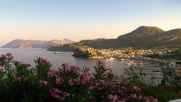 Ein Hafen in einer Bucht, im Vordergrund Sträuche mit rosa Blüten; im Hintergrund von der Sonne angestrahlte Berge