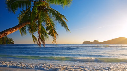 Das Bild zeigt: Einen Strand auf den Seychellen.