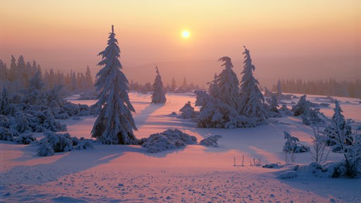 Das Bild zeigt: Winterstimmung am Ruhestein im Schwarzwald. 