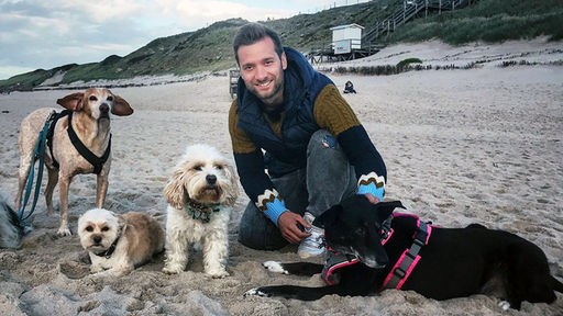 Das Bild zeigt Daniel Aßmann mit Hunden an einem Strand in Sylt.