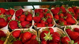 Pappschalen mit Erdbeeren