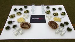Das Bild zeigt einen gedeckten Tisch mit Lebensmitteln, die gut für die Knochen sind.