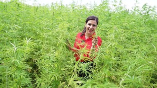 Das Bild zeigt Donya Farahani neben Cannabis-Pflanzen.