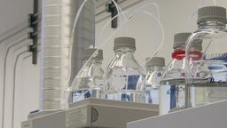 Das Bild zeigt Wasserflaschen, die im Labor getestet werden.