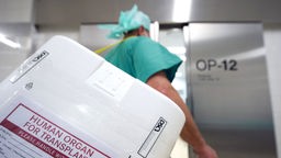 Ein Styropor-Behälter zum Transport von zur Transplantation vorgesehenen Organen wird am Eingang eines OP-Saales vorbei getragen