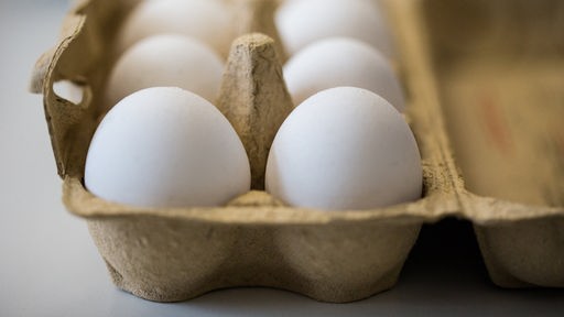 Das Bild zeigt einen Karton mit Eiern.