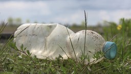 Eine Plastikflache liegt im Gras