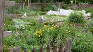 Blick in einen Garten mit vielen Beeten.