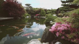 Das Bild zeigt einen im japanischen Stil gehaltenen Garten.