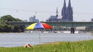 Sonnenbad am Rhein