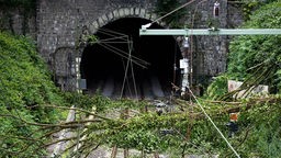 Ungestürzte Bäume vor einem Eisenbahntunnel