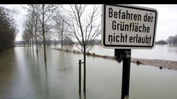 Hochwasser an der Lippe bei Lippstadt, 2003