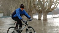 Durch das Hochwasser des Rheins fährt ein Mountainbiker in der Nähe des hessischen Oestrich, 2004
