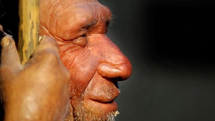 Gene neandertaler Neanderthal gene