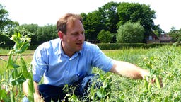 Ökologe Christoph Scherber von der Universität Münster auf einem Versuchsfeld.