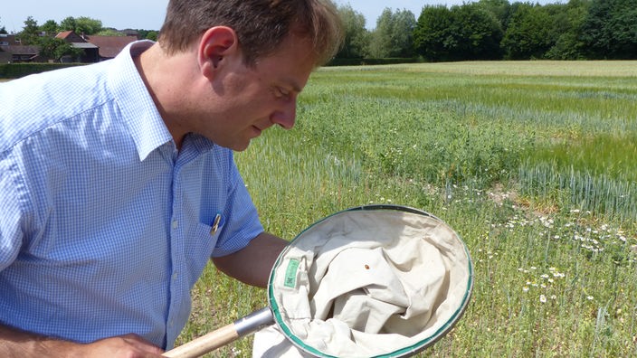 Christoph Scherber, Ökologe, mit Insektenfangnetz.