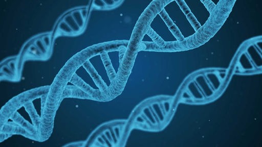 Das Bild zeigt eine Doppelhelix einer DNS.