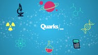 Naturwissenschaftssymbole auf blauem Untergrund, darin der Schriftzug Quarks/WDR 