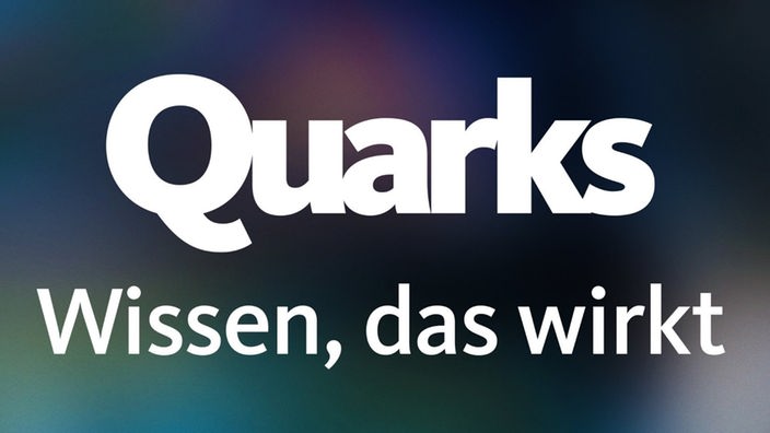 Schriftzug "Quarks - Wissen, das wirkt"