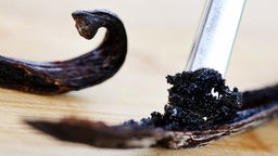 Das Vanillemark einer Vanilleschote wird am 21.05.2017  mit einem Löffelstiel herausgeschoben. 